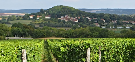 Mooie omgeving Langres en Dijon