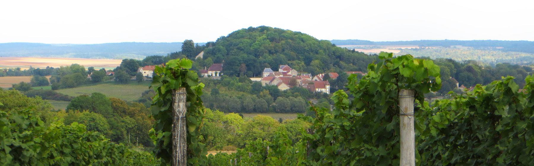 Nature of Montsaugeon near Langres and Dijon